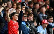2 May 2025; Shelbourne supporters during the SSE Airtricity Men's Premier Division match between Derry City and Shelbourne at The Ryan McBride Brandywell Stadium in Derry. Photo by Stephen McCarthy/Sportsfile