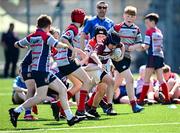 10 May 2025; Action from the Bank of Ireland Minis match between Tullow RFC and Mullingar RFC before the United Rugby Championship match between Leinster and Zebre Parma at the Aviva Stadium in Dublin. Photo by Seb Daly/Sportsfile