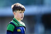 10 May 2025; Action from the Bank of Ireland Minis match between Roscrea RFC and Seapoint RFC before the United Rugby Championship match between Leinster and Zebre Parma at the Aviva Stadium in Dublin. Photo by Seb Daly/Sportsfile