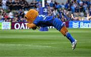10 May 2025; Leinster mascot Leo the Lion before the United Rugby Championship match between Leinster and Zebre Parma at the Aviva Stadium in Dublin. Photo by Brendan Moran/Sportsfile