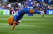 10 May 2025; Leinster mascot Leo the Lion before the United Rugby Championship match between Leinster and Zebre Parma at the Aviva Stadium in Dublin. Photo by Brendan Moran/Sportsfile