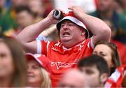 11 May 2025; A Louth supporter during the Leinster GAA Football Senior Championship final match between Louth and Meath at Croke Park in Dublin. Photo by Piaras Ó Mídheach/Sportsfile