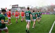 11 May 2025; Supporters on Hill 16 as the players march in the parade before the Leinster GAA Football Senior Championship final match between Louth and Meath at Croke Park in Dublin. Photo by Piaras Ó Mídheach/Sportsfile