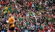 11 May 2025; Meath supporters celebrate after their side's first goal, scored by Mathew Costello, during the Leinster GAA Football Senior Championship final match between Louth and Meath at Croke Park in Dublin. Photo by Piaras Ó Mídheach/Sportsfile