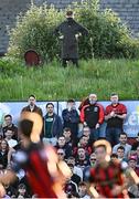 16 May 2025; Shelbourne manager Damien Duff during the SSE Airtricity Men's Premier Division match between Bohemians and Shelbourne at Dalymount Park in Dublin. Photo by Seb Daly/Sportsfile