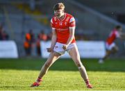 16 May 2025; Dylan Shevlin of Louth celebrates the winning point scored by Adam Gillespie during the Dalata Hotel Group GAA Football All-Ireland U20 Championship semi-final match between Mayo and Louth at Glennon Brothers Pearse Park in Longford. Photo by Stephen Marken/Sportsfile