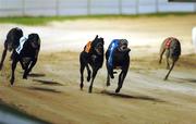 18 September 2004; The eventual winner Like A Shot, third from right, races along side Droopys Maldini, second from right, after the final bend on the way to winning the Paddy Power Irish Greyhound Derby, Shelbourne Park, Dublin. Picture credit; Pat Murphy / SPORTSFILE