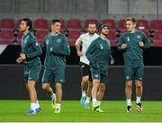 10 October 2013; Republic of Ireland players, from left, Stephen Kelly, Ciaran Clark, Marc Wilson, Shane Long and Kevin Doyle during squad training ahead of their 2014 FIFA World Cup Qualifier, Group C, game against Germany on Friday. Republic of Ireland Squad Training, Rhine Energie Stadion, Cologne, Germany. Picture credit: David Maher / SPORTSFILE