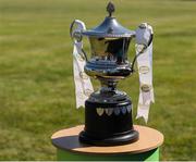 17 May 2025; A general view of of the cup before the Leinster Senior Camogie final match between Wexford and Kilkenny at Netwatch Cullen Park in Carlow. There are no action pictures from this game at the request of the players. Photo by Michael P Ryan/Sportsfile