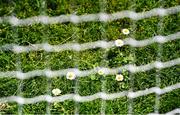 18 May 2025; A view of the goalmouth area before the GAA Football All-Ireland Senior Championship Round 1 match between Clare and Down at Zimmer Biomet Páirc Chíosóg in Ennis, Clare. Photo by Tom Beary/Sportsfile