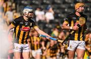 18 May 2025; TJ Reid, left, and Billy Ryan of Kilkenny at the final whistle of the Leinster GAA Hurling Senior Championship Round 4 match between Kilkenny and Dublin at UPMC Nowlan Park in Kilkenny. Photo by Ramsey Cardy/Sportsfile