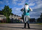 19 May 2025; A Shamrock Rovers supporter, of The Shed End Official group, before the SSE Airtricity Men's Premier Division match between Shamrock Rovers and St Patrick's Athletic at Tallaght Stadium in Dublin. Photo by Stephen McCarthy/Sportsfile