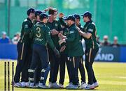 21 May 2025; Ireland bowler Tom Mayes, centre, celebrates with teammates after taking the wicket of Shai Hope of West Indies during the first match of the One Day International Series between Ireland and the West Indies at Clontarf Cricket Club in Dublin. Photo by Sam Barnes/Sportsfile