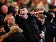 23 May 2025; Shamrock Rovers supporters celebrates their first goal during the SSE Airtricity Men's Premier Division match between Derry City and Shamrock Rovers at The Ryan McBride Brandywell Stadium in Derry. Photo by Stephen McCarthy/Sportsfile