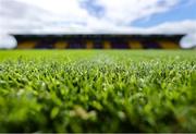 25 May 2025; A detailed view of the pitch before the Leinster GAA Hurling Senior Championship Round 5 match between Wexford and Kilkenny at Chadwicks Wexford Park in Wexford. Photo by Thomas Flinkow/Sportsfile