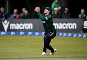 25 May 2025; Barry McCarthy of Ireland takes the wicket of West Indies batter Amir Jangoo during match three of the One Day International Series between Ireland and the West Indies at Castle Avenue Cricket Ground in Dublin. Photo by Seb Daly/Sportsfile