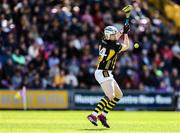 25 May 2025; TJ Reid of Kilkenny during the Leinster GAA Hurling Senior Championship Round 5 match between Wexford and Kilkenny at Chadwicks Wexford Park in Wexford. Photo by Thomas Flinkow/Sportsfile