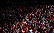 25 May 2025; Supporters during the Munster GAA Hurling Senior Championship Round 5 match between Cork and Waterford at SuperValu Páirc Ui Chaoimh in Cork. Photo by Piaras Ó Mídheach/Sportsfile