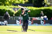 25 May 2025; Ireland batter Andrew Balbirnie is bowled out by West Indies bowler Jayden Seales during match three of the One Day International Series between Ireland and the West Indies at Castle Avenue Cricket Ground in Dublin. Photo by Seb Daly/Sportsfile
