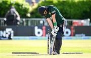 25 May 2025; Ireland batter Andrew Balbirnie after being bowled out by West Indies bowler Jayden Seales during match three of the One Day International Series between Ireland and the West Indies at Castle Avenue Cricket Ground in Dublin. Photo by Seb Daly/Sportsfile
