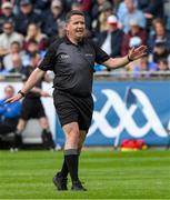 25 May 2025; Referee Colm Lyons during the Leinster GAA Hurling Senior Championship Round 5 match between Dublin and Galway at Parnell Park in Dublin. Photo by Ray McManus/Sportsfile