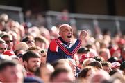 25 May 2025; A Cork supporter celebrates during the Munster GAA Hurling Senior Championship Round 5 match between Cork and Waterford at SuperValu Páirc Ui Chaoimh in Cork. Photo by Piaras Ó Mídheach/Sportsfile
