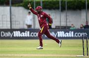 25 May 2025; Evin Lewis of West Indies celebrates after running-out Ireland batter Andrew McBrine, not pictured, to claim victory for his side in match three of the One Day International Series between Ireland and the West Indies at Castle Avenue Cricket Ground in Dublin. Photo by Seb Daly/Sportsfile