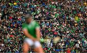 25 May 2025; Supporters watch on during the Munster GAA Hurling Senior Championship Round 5 match between Limerick and Clare at TUS Gaelic Grounds in Limerick. Photo by Tom Beary/Sportsfile