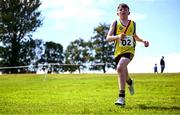 25 May 2025; Participants during the Mixed Distance Relays on day two of the Cairn Community Games Multi-Sports Finals 2025 at Gormanston Park in Meath. Photo by Shauna Clinton/Sportsfile