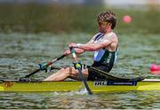 31 May 2025; Jake McCarthy of Ireland in action during the Lightweight Men’s Single Sculls B Final at the 2025 European Rowing Championships at Plovdiv Canoe and Rowing Centre in Plovdiv, Bulgaria. Photo by Nikola Krstic/Sportsfile