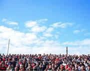 31 May 2025; Supporters on the terrace ahead of  the GAA Football All-Ireland Senior Championship Round 2 match between Down and Louth at Páirc Esler in Newry, Down. Photo by Daire Brennan/Sportsfile