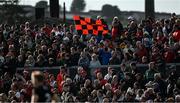 31 May 2025; A Down supporter celebrates a second half point during the GAA Football All-Ireland Senior Championship Round 2 match between Down and Louth at Páirc Esler in Newry, Down. Photo by Daire Brennan/Sportsfile