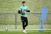 2 June 2025; Goalkeeper Max O'Leary during a Republic of Ireland training session at the FAI National Training Centre in Abbotstown, Dublin. Photo by Seb Daly/Sportsfile