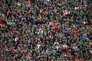 7 June 2025; Supporters, mostly Limerick, watch the Munster GAA Hurling Senior Championship final match between Limerick and Cork at TUS Gaelic Grounds in Limerick. Photo by Ray McManus/Sportsfile