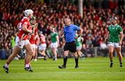 7 June 2025; Standy referee James Owens, acting as referee after he replaced referee Thomas Walsh due to injury in extra-time, during the Munster GAA Hurling Senior Championship final match between Limerick and Cork at TUS Gaelic Grounds in Limerick. Photo by Piaras Ó Mídheach/Sportsfile