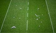 8 June 2025; Seagulls on the pitch after the Leinster GAA Senior Hurling Championship final match between Kilkenny and Galway at Croke Park in Dublin. Photo by Piaras Ó Mídheach/Sportsfile
