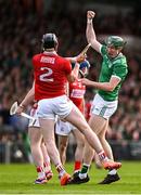 7 June 2025; William O'Donoghue of Limerick celebrates winning a free during the Munster GAA Hurling Senior Championship final match between Limerick and Cork at TUS Gaelic Grounds in Limerick. Photo by Piaras Ó Mídheach/Sportsfile