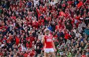 7 June 2025; Cork supporters celebrate after Darragh Fitzgibbon, below, of Cork scored a point from a '65 in the last place of extra-time to send the match to a penalty shoot-out during the Munster GAA Hurling Senior Championship final match between Limerick and Cork at TUS Gaelic Grounds in Limerick. Photo by Piaras Ó Mídheach/Sportsfile