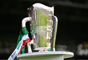 7 June 2025; A general view of the Mick Mackey Cup before the Munster GAA Hurling Senior Championship final match between Limerick and Cork at TUS Gaelic Grounds in Limerick. Photo by Piaras Ó Mídheach/Sportsfile
