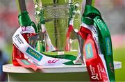 7 June 2025; A detailed view of the Mick Mackey Cup before the Munster GAA Hurling Senior Championship final match between Limerick and Cork at TUS Gaelic Grounds in Limerick. Photo by Piaras Ó Mídheach/Sportsfile