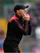 14 June 2025; Derry manager Paddy Tally during the GAA Football All-Ireland Senior Championship Round 3 match between Dublin and Derry at Páirc Esler in Newry, Down. Photo by Ramsey Cardy/Sportsfile