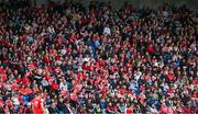 15 June 2025; Louth supporters during the GAA Football All-Ireland Senior Championship Round 3 match between Louth and Clare at Laois Hire O'Moore Park in Portlaoise, Laois. Photo by Shauna Clinton/Sportsfile