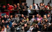 15 June 2025; Supporters during match three of the T20 International Series between Ireland and the West Indies at Bready Cricket Club in Magheramason, Tyrone. Photo by Ramsey Cardy/Sportsfile