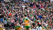 15 June 2025; Spectators during the GAA Football All-Ireland Senior Championship Round 3 match between Donegal and Mayo at King & Moffatt Dr Hyde Park in Roscommon. Photo by Seb Daly/Sportsfile
