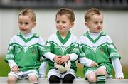 13 October 2013; Corey McGrogan, left, Jamie Wolfe and Zack McGrogan, all aged four, from Newbridge, Co. Kildare ahead of the game. Kildare County Senior Club Football Championship Final, Sarsfields v Moorefield, St Conleth's Park, Newbridge, Co. Kildare. Picture credit: Barry Cregg / SPORTSFILE