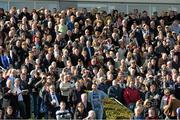14 October 2013; Spectators during the Limerick Charity Race Day for the jockeys emergency fund. Limerick Racecourse, Greenmount Park, Co. Limerick. Picture credit: Diarmuid Greene / SPORTSFILE