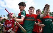 21 June 2025; Ballinora supporters react during the John West Féile na nGael Camogie and Hurling National Finals at Halo Tiles Wexford GAA Centre of Excellence in Ferns, Wexford. Photo by Shauna Clinton/Sportsfile