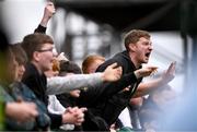 23 June 2025; Shamrock Rovers supporters react during the SSE Airtricity Men's Premier Division match between Bohemians and Shamrock Rovers at Dalymount Park in Dublin. Photo by Ramsey Cardy/Sportsfile