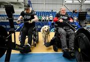 27 June 2025; Jamie the assistance dog watches John Morgan, right, and Simon Cusack competing on the rower during the Fitness Inclusion Games by IWA at the Sport Ireland Indoor Arena on the National Sports Campus in Dublin. Photo by David Fitzgerald/Sportsfile