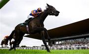 28 June 2025; Whirl, with Ryan Moore up, on their way to winning the Paddy Power Pretty Polly Stakes during day two of the Dubai Duty Free Irish Derby Festival at The Curragh Racecourse in Kildare. Photo by Seb Daly/Sportsfile